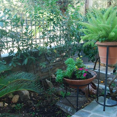 Affordable Luxury Garden Apartment Athene Buitenkant foto